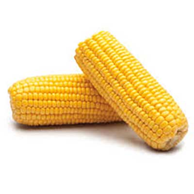 Elote