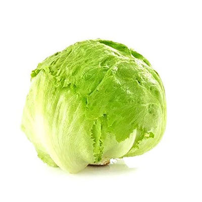 Lechuga